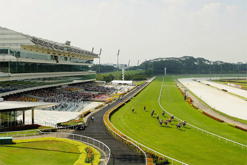 Singapore quyết định chấm dứt đua ngựa sau hơn 180 năm